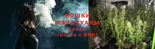 ГАЛЛЮЦИНОГЕННЫЕ ГРИБЫ Магас