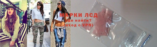 ГАЛЛЮЦИНОГЕННЫЕ ГРИБЫ Магас