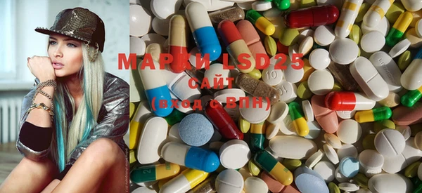 ГАЛЛЮЦИНОГЕННЫЕ ГРИБЫ Магас
