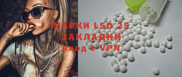 ГАЛЛЮЦИНОГЕННЫЕ ГРИБЫ Магас