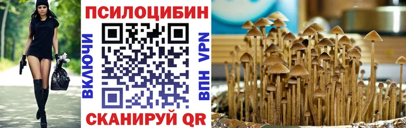 Галлюциногенные грибы Psilocybe  Приволжский 